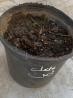A pot with dirt and dirt in it  Description automatically generated